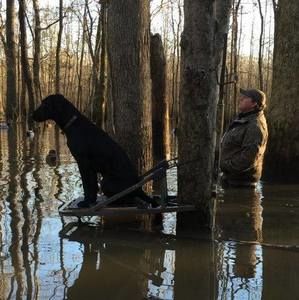 Meet your Posher, Kevin